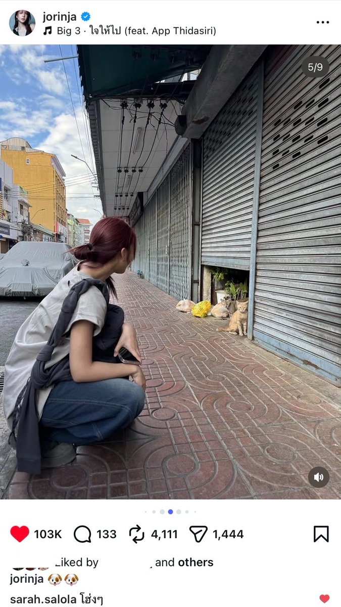 ppppmusic_'s tweet photo. ค้าบม๋าห์🐶 ค้าบเหมียว😼 เข้าใจแล้วค้าบ https://t.co/srsEi77Moh