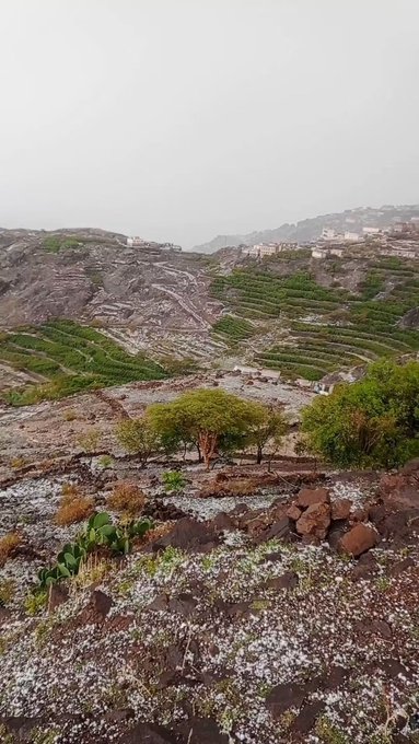 Aee193's tweet photo. صور من عاصفة البرد في منطقة بيت النمري في الحيمة الداخلية غرب العاصمة #صنعاء، ليوم السبت، عبر مجموعة طقس وأمطار اليمن https://t.co/YJu9le1QNY