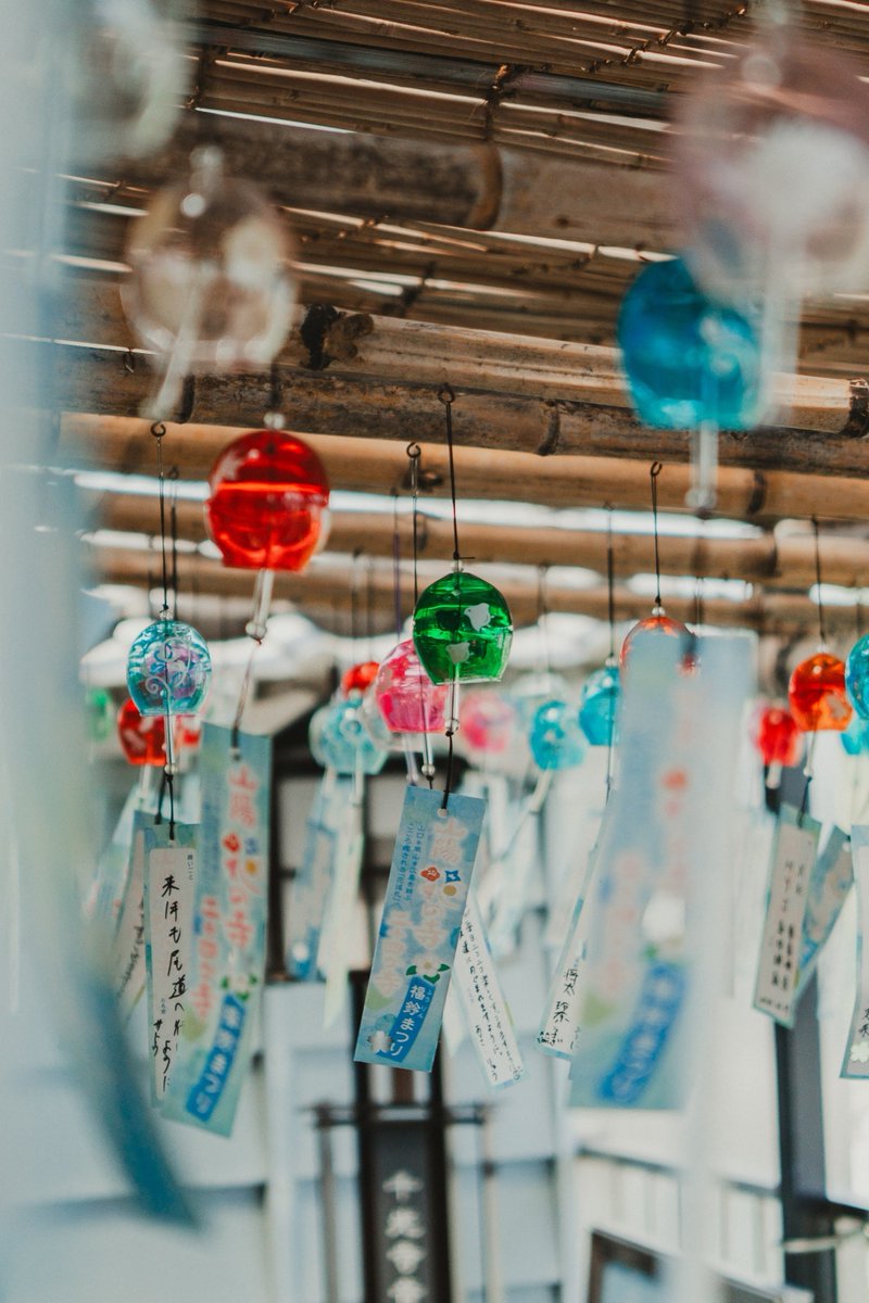 YTacya36's tweet photo. 広島旅行記①
尾道千光寺山ロープウェイ/ SONY a7ⅳ/ FE 24-50mm F2.8 G / https://t.co/uAGhBnpFzC