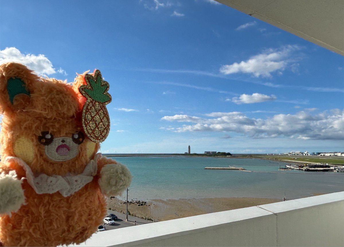 PuKqn's tweet photo. ほーらﾊﾟﾓち、青い空、青い海、そして那覇空港だよ〜

ﾆｼﾋﾞ､ｱﾂｩｲ‼︎

 #ポケぬいとおでかけ https://t.co/PAtmZwm42n