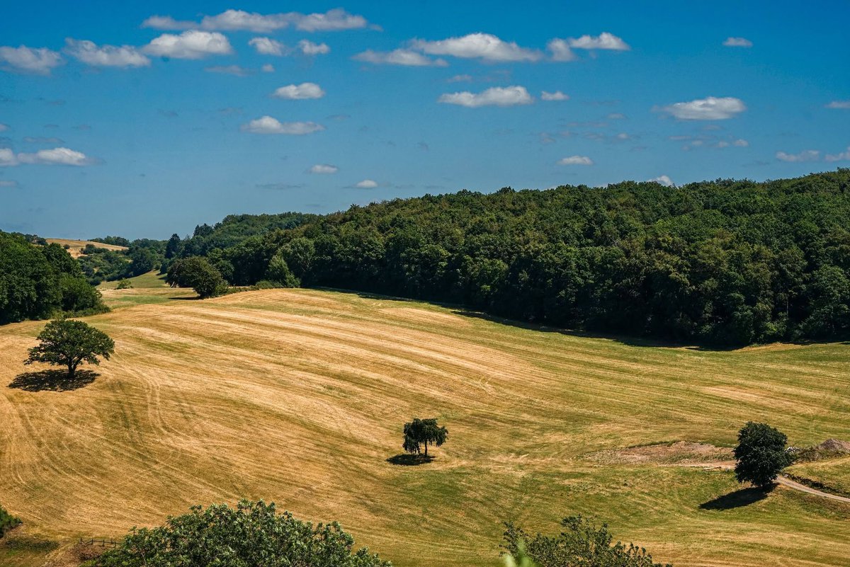 TempleCabenp's tweet photo. 断絶を恐れて繋ぎとめるよりも、沈黙のままでいるほうが誠実な場合もある https://t.co/EMfGk1LtlG