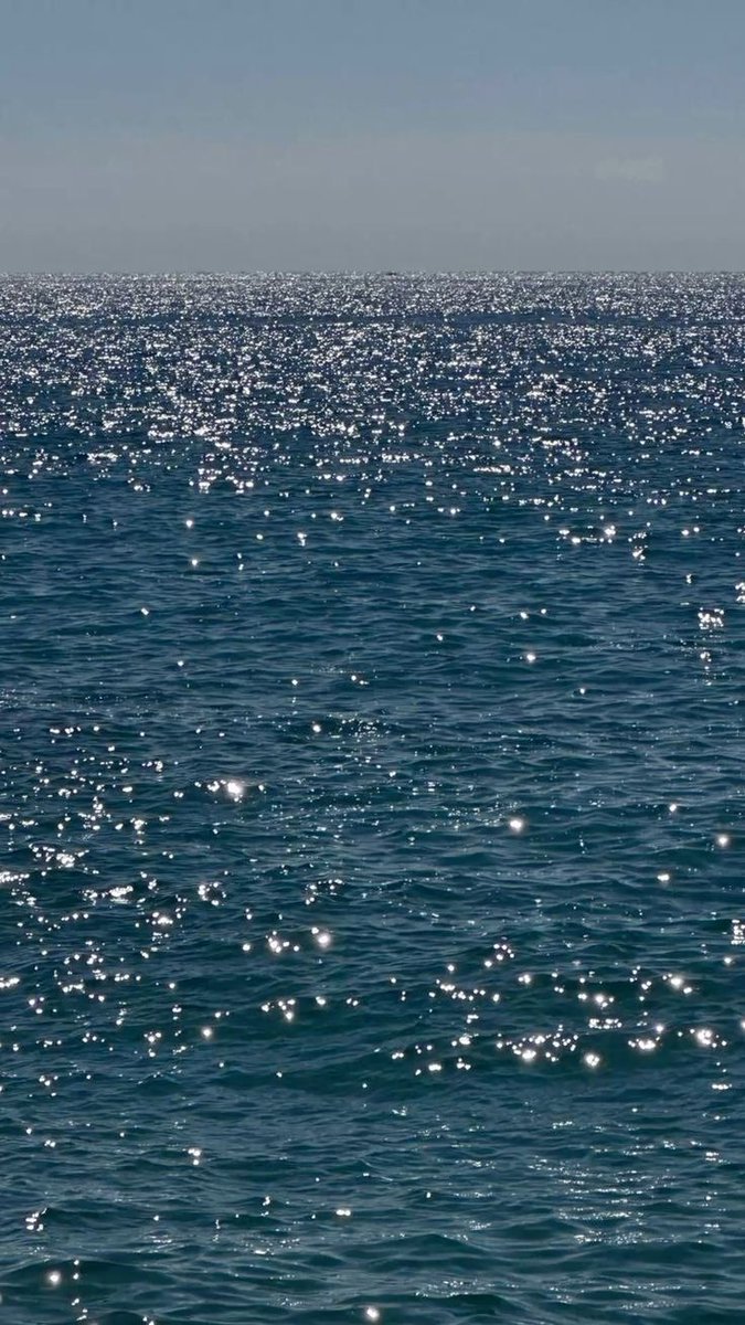 bariKaan2's tweet photo. Tüm parıltılar 
Güneşi
Gösterdiği gibi

sörloth batrakov asırlık gece güllü erzincana  
muhammed salah sercan hasan şaş #devrim
aziz yıldırım iran feyza civelek trabzonspor
ali koç ermenistan başbakanı paşinyan #neleroldu https://t.co/IjrTUhA69K