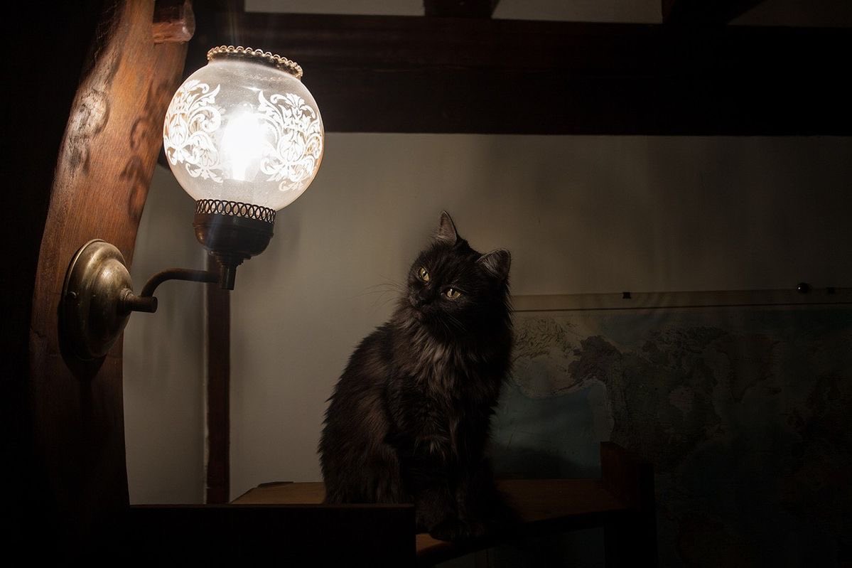 ciwitchy tweet picture