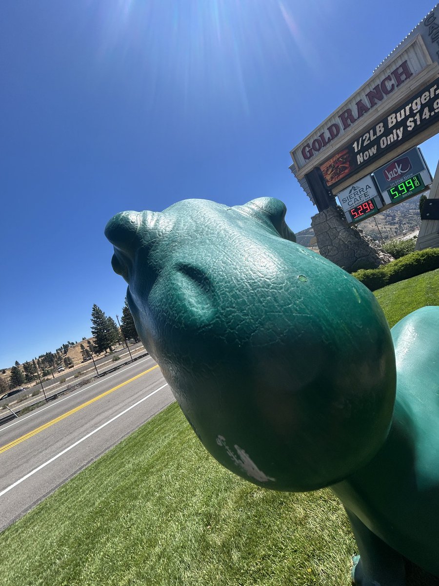 nyk0e's tweet photo. Dinosaur https://t.co/tD6TOdFh2g