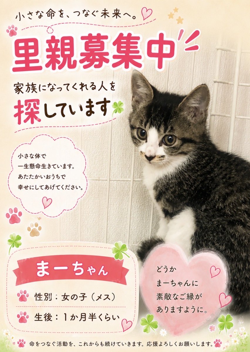 nao4361918327's tweet photo. #あいラジ　📻
#ポポキイーリオ
保護犬猫主役番組🐶🐱

🐶リメイク洋服
「73nori1」
https://t.co/IW8Rv2bOuT

みーみさん
じゅんぴーさん
えっちゃん

🐶出張トリマーもぐ
5周年パーティー

出演ありがとう‼️

ミニミニ譲渡会御礼✨
#里親募集
問い合わせ⬇️

https://t.co/bxA22GJtik https://t.co/ex1WpypcMX