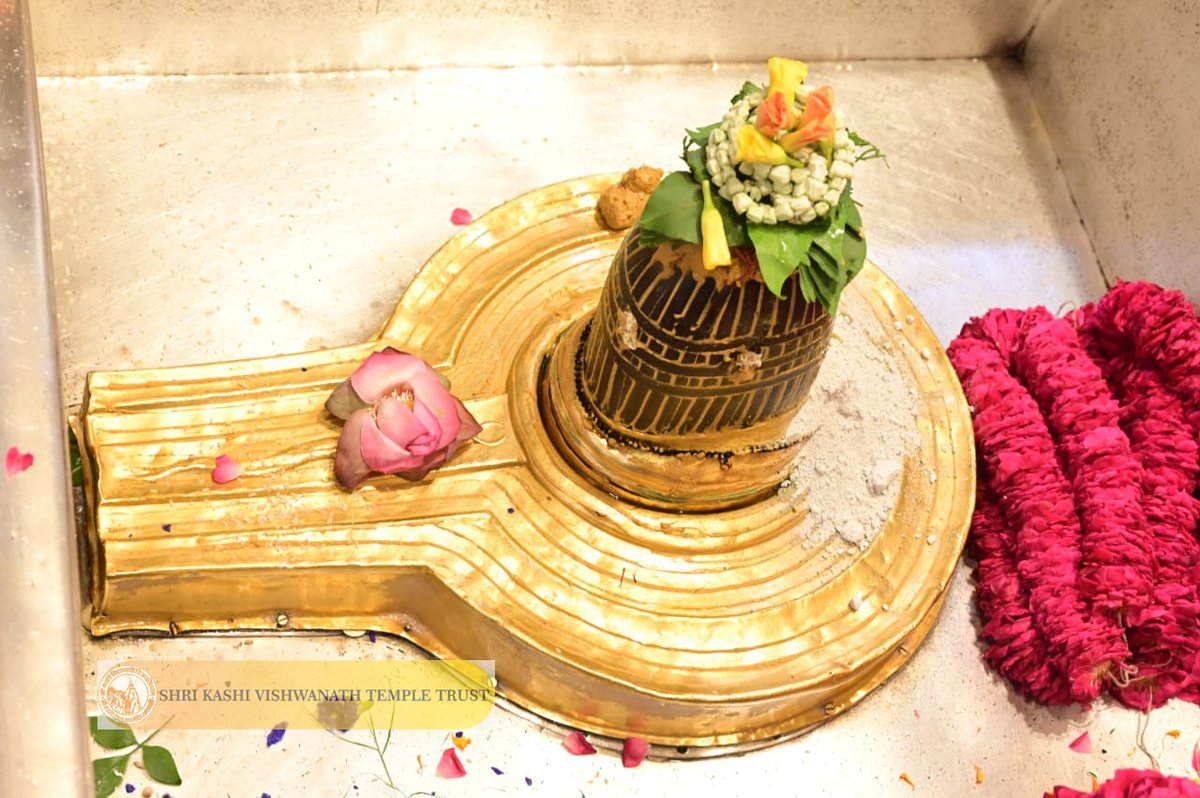 ShriVishwanath's tweet photo. श्री काशी विश्वनाथ जी की मध्यान्ह-भोग आरती I
#kashi #darshan #kashivishwanath #VishwanathDham #blessings https://t.co/J44ErMxwJK