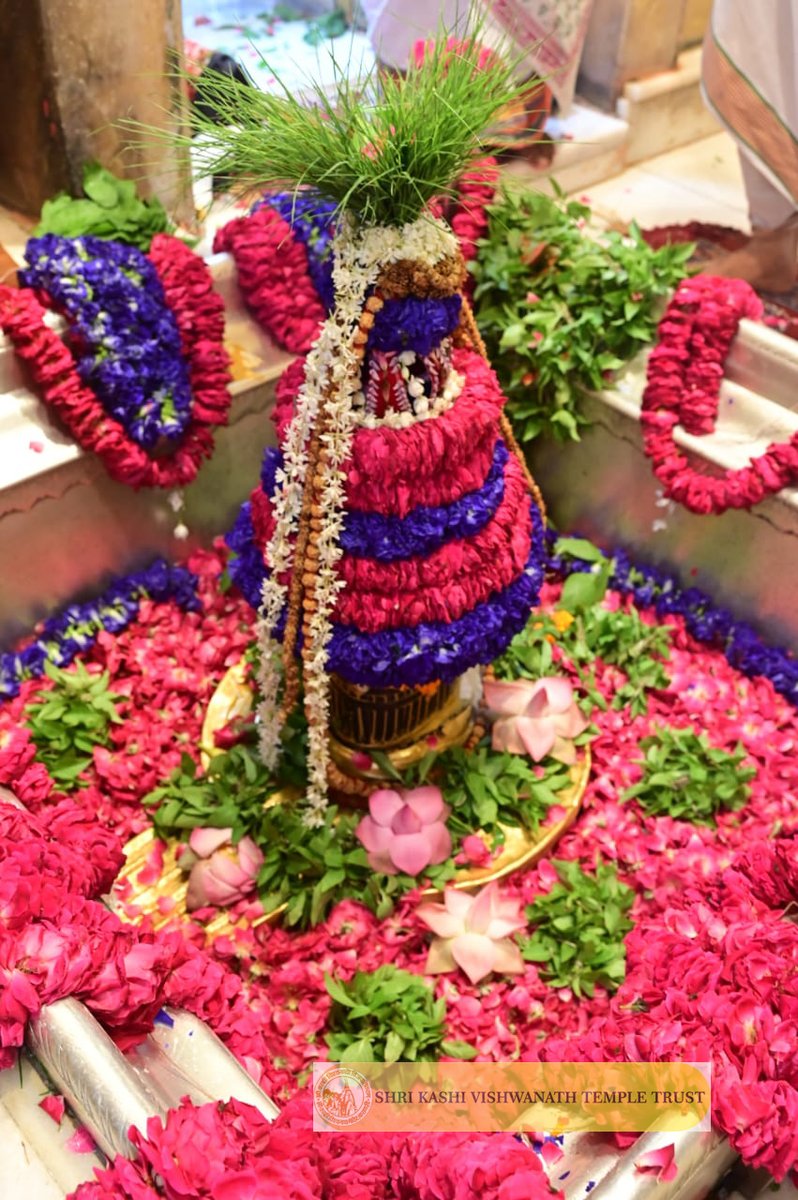 ShriVishwanath's tweet photo. श्री काशी विश्वनाथ जी की मध्यान्ह-भोग आरती I
#kashi #darshan #kashivishwanath #VishwanathDham #blessings https://t.co/J44ErMxwJK
