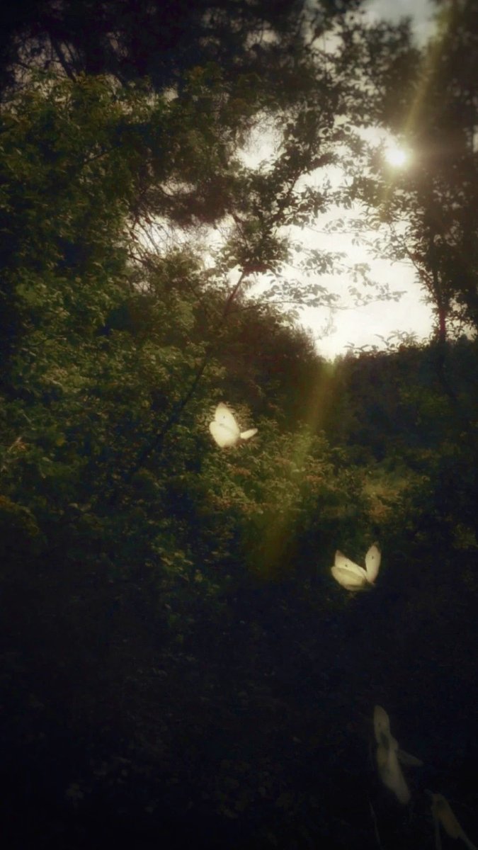 ciwitchy tweet picture