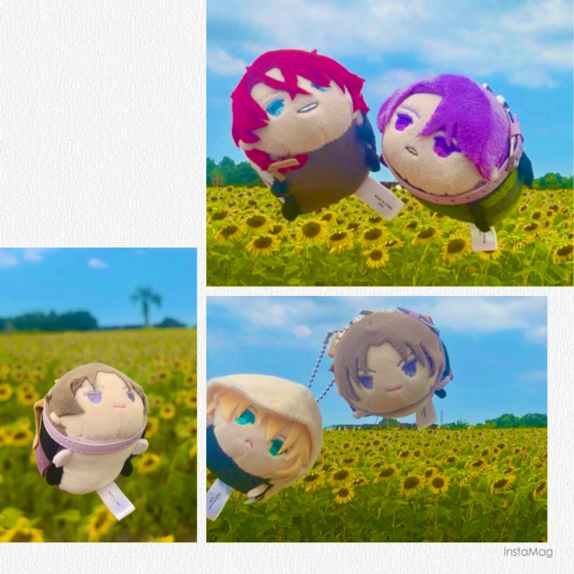 ktg0k_m15's tweet photo. ひまわり畑🌻 https://t.co/YwNpcAFZSx