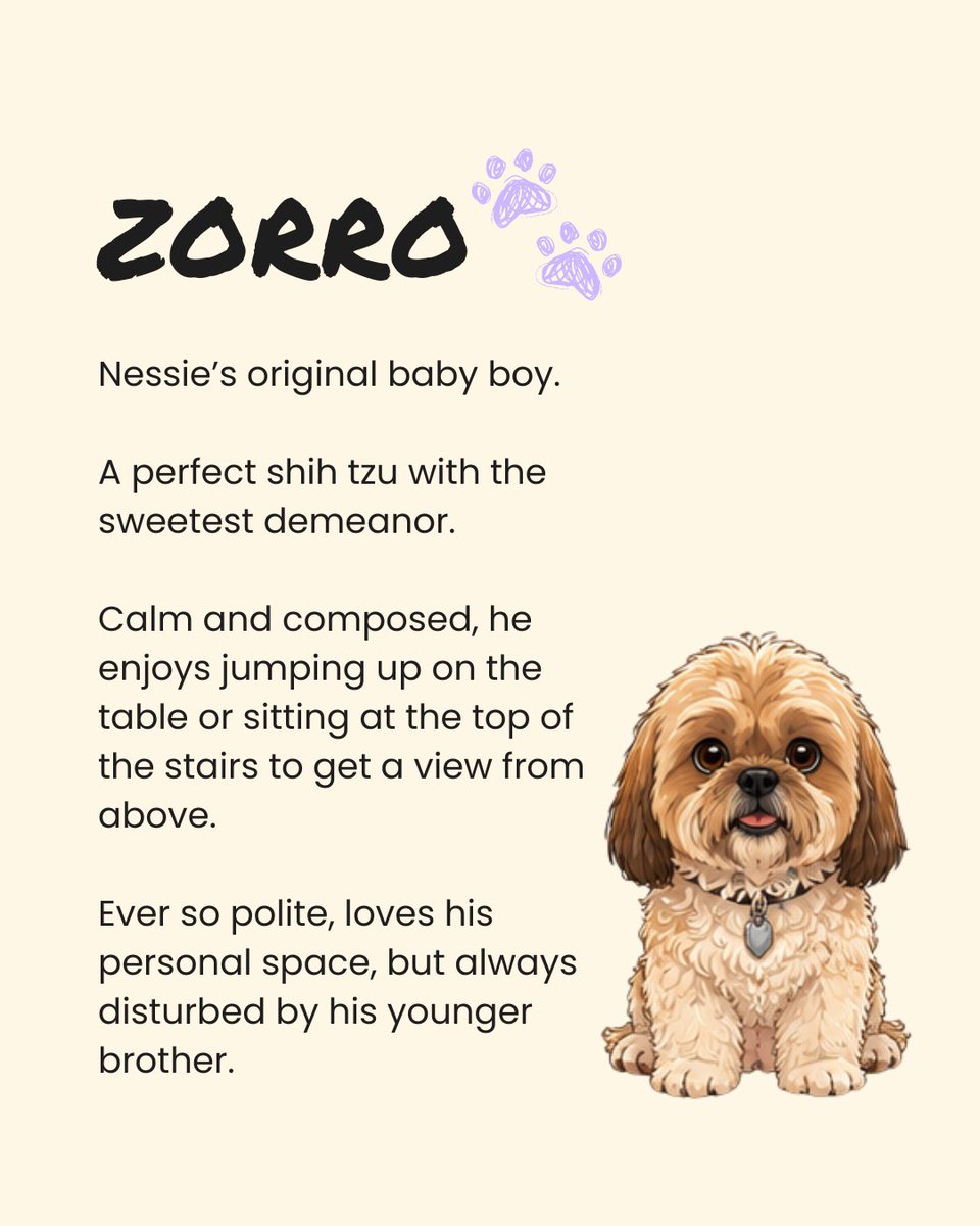wekeepitrealpod's tweet photo. Meet Zorro &amp; Zee. 🐾💛

Nessie's boys, professional attention seekers and unofficial podcast assistants.

You'll definitely be hearing about them... probably every week.

#KeepingItRealPod https://t.co/ZsxRCDVE8I
