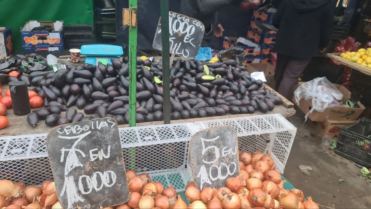 xakitox_'s tweet photo. @patobancoestafo Con kas la palta más barata e. 10 años lo que vote 😍🤩 https://t.co/mZCPpfbmU5