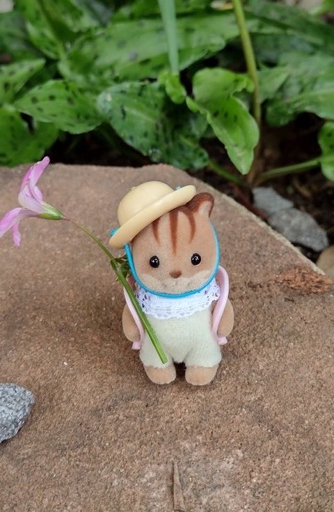 marikumada's tweet photo. 보이스카우트 첫날 엄마에게 보내는 사진정도로 보임 푸핰
#️⃣그렇게엄마가된다 https://t.co/018acVaSpS