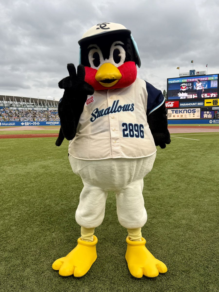 swallowspr's tweet photo. 本日は Swallows CREW DAY 2日目❕

つば九郎とつばみちゃんも、選手と同じCREWユニホームでこころをひとつに戦います✌️

#つば九郎 #つばみ
#swallows #燕心全開 https://t.co/2ZP6Jwy3Qd