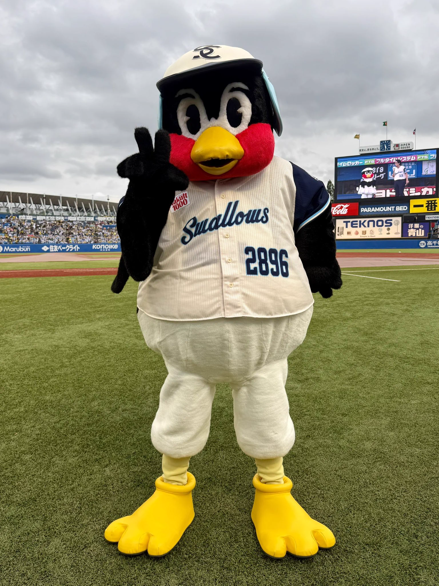 東京ヤクルトスワローズ公式 on X: 