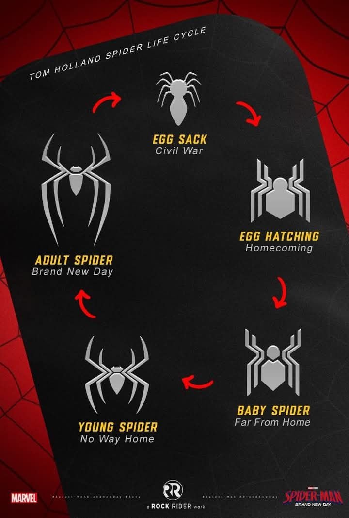 Shadow_Xae's tweet photo. Tom Holland spider life cycle 🕷️🕸️ https://t.co/yjM33YhGpu