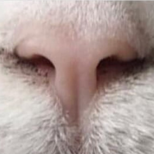 Micims6n's tweet photo. 0x8f6140fd6a307e9db497e2c7e93421dfe17c7777 
特斯拉猫
上了点仓位
不想错过
https://t.co/8H3aaNYT10 https://t.co/JvUZwUx3ix