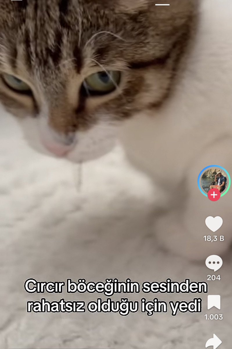 basedemiyorum's tweet photo. bizim olur olmadık her şeye kuruluş https://t.co/USwsHY7FET