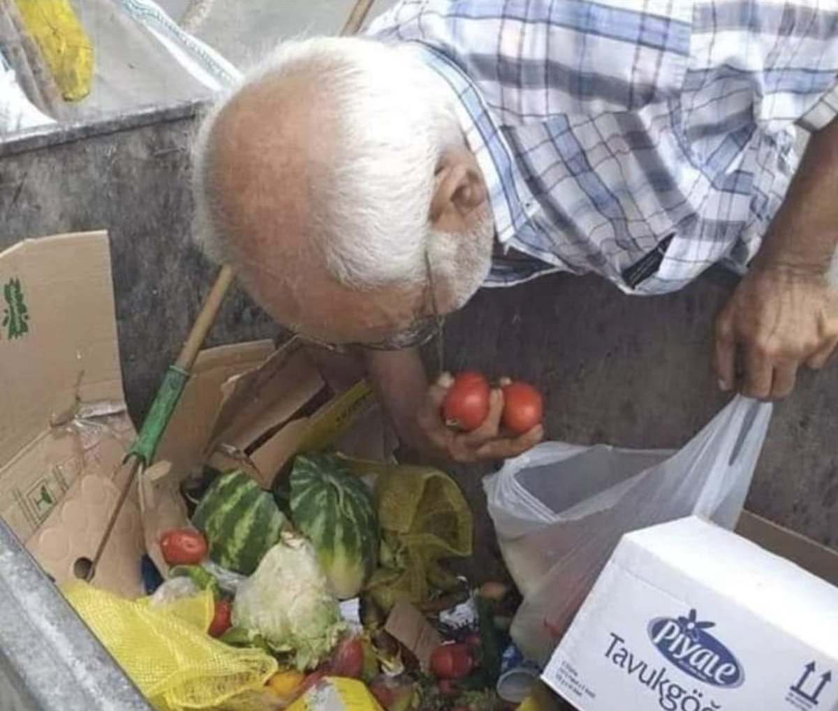 Neyzenteyfikkk's tweet photo. ✔️ "5 emekli maaşını birleştirince ancak 1 yoksul ediyor"

👇 Çöpten gıda toplayacağına, oy kullanırken 5 dakika düşünsen yeter idi....

Ne diyeyim, birisi de asrın lideriyim diye sarayda yaşıyor...

Şeyh uçmaz, Müridi şeyhi uçururmuş... demiş atalarımız.
#OyalamaTersTeper https://t.co/YKj7LEqW7Y