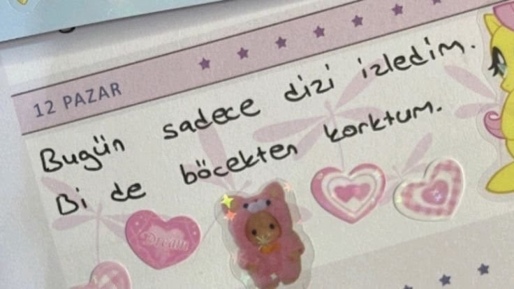 ohisileyasamak's tweet photo. her yaz bu kisiyiz maalesef https://t.co/cDZ2eO64t6