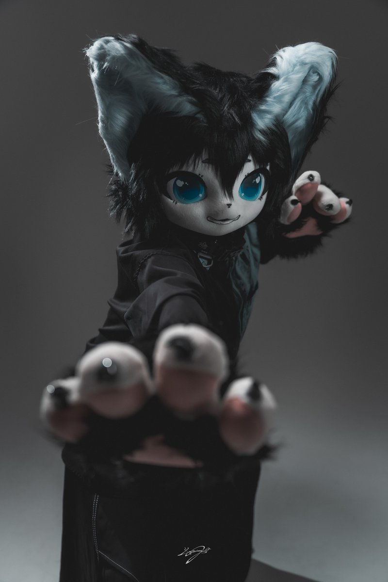 メモリオ🐺 tweet media