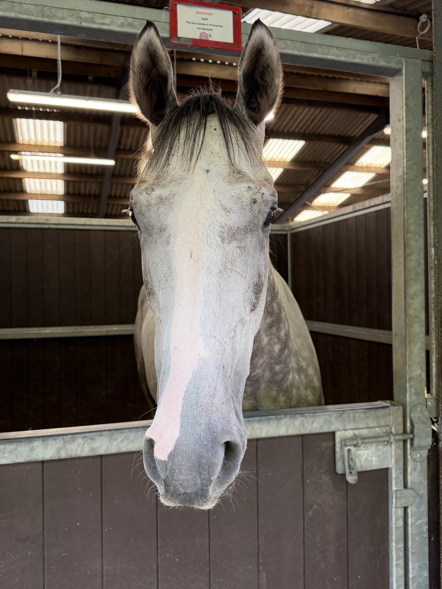 FOBRacing's tweet photo. White Riot #TeamFOB https://t.co/0i8ECpniqE