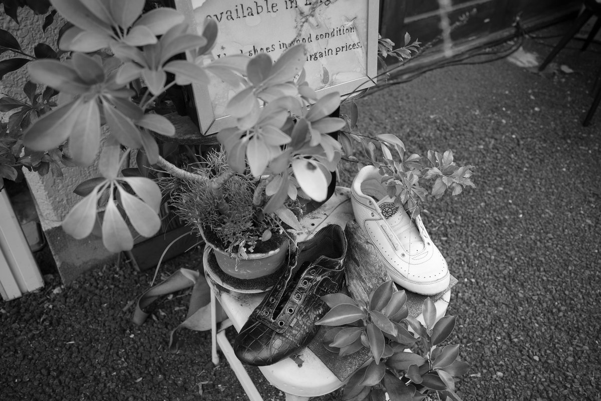 rekomy's tweet photo. 2026年8月、中目黒
RICOH GR IV Monochrome https://t.co/LzlfTU0JXb
