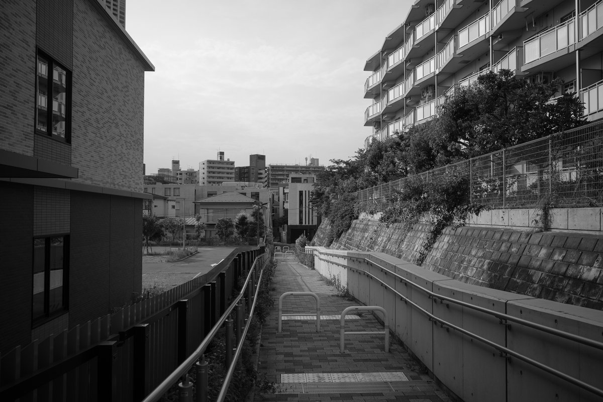 rekomy's tweet photo. 2026年8月、中目黒
RICOH GR IV Monochrome https://t.co/LzlfTU0JXb