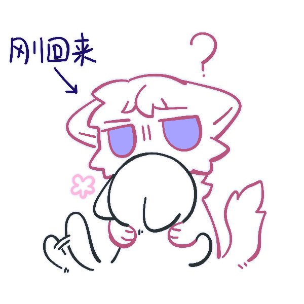 GUIBING_'s tweet photo. 宗みか
舞珠：家人们逗个猫 https://t.co/JCU5yTklyh