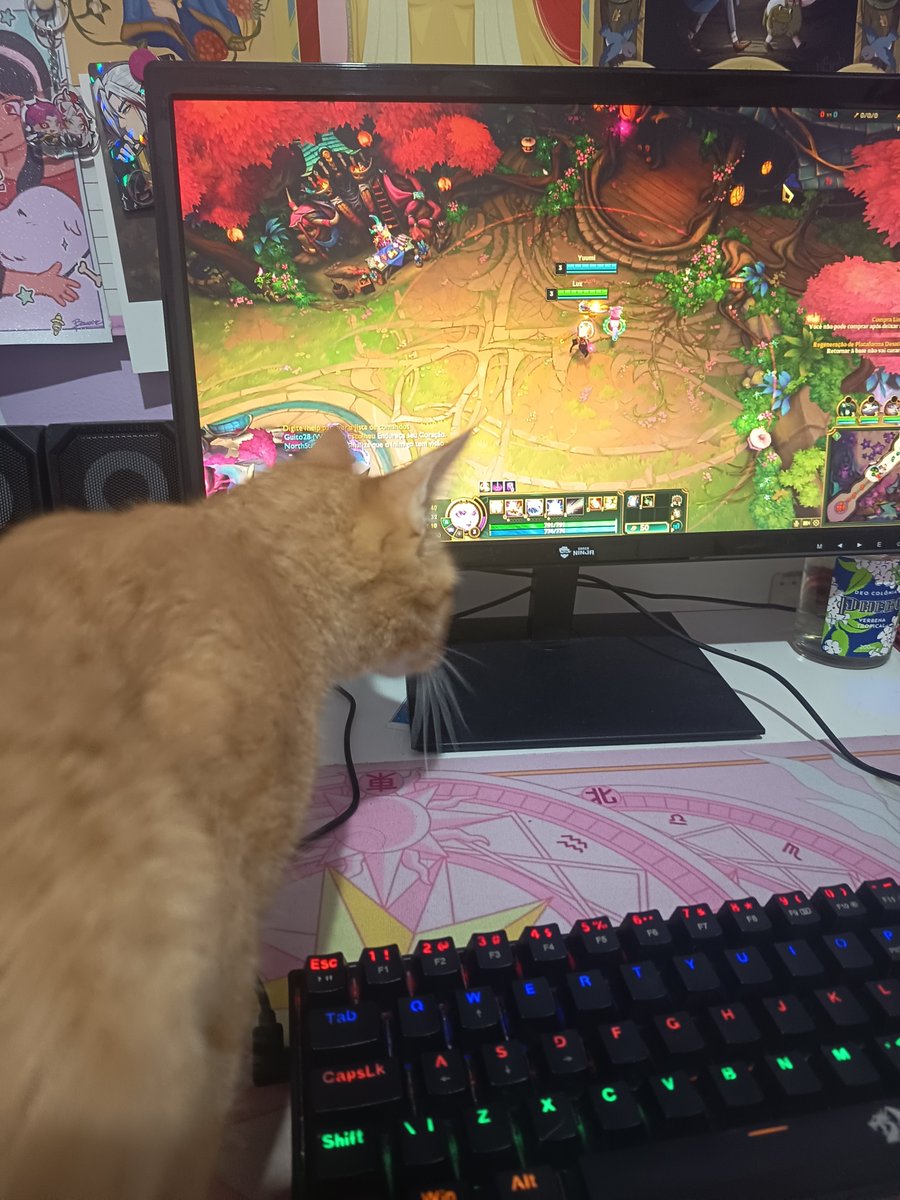 clumsynymph's tweet photo. cuidado quando forem me maltratar no lol pois eh ela que estará lendo tudo https://t.co/tcuF877Q3g