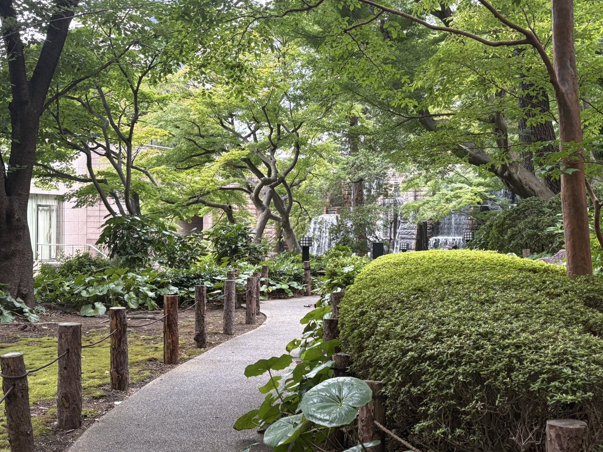 ponde_architect's tweet photo. 御殿山庭園。

ゆっくりとした風景に、
人工の滝だけが異様な速さで落ちている。

その不釣り合いが、妙に不気味だ。
良いとか悪いとかではない。
ただ、気持ちが悪い。 https://t.co/UDNnIXpLc1