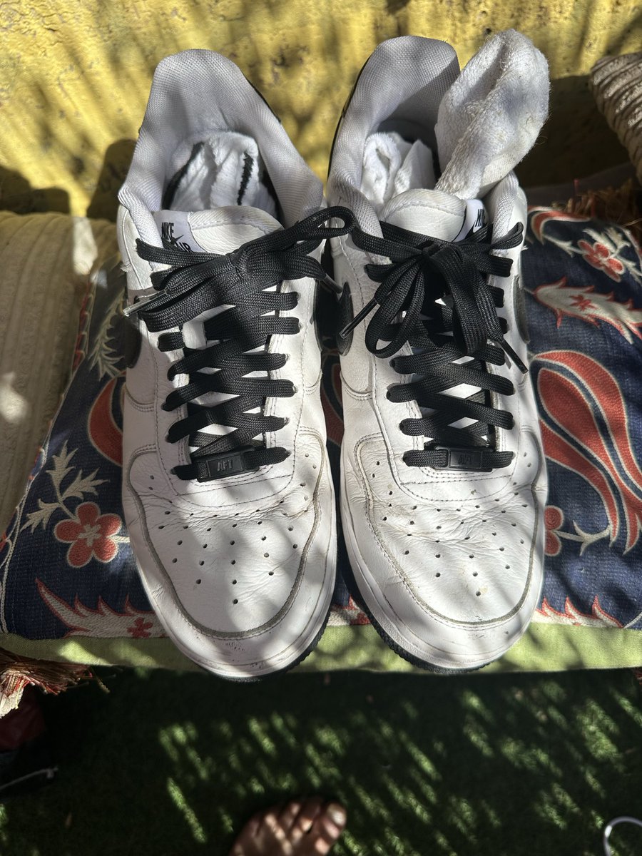 DomNikeMaster's tweet photo. Sniff them. Kiss them. Lick them. https://t.co/gEPTSOmC1E