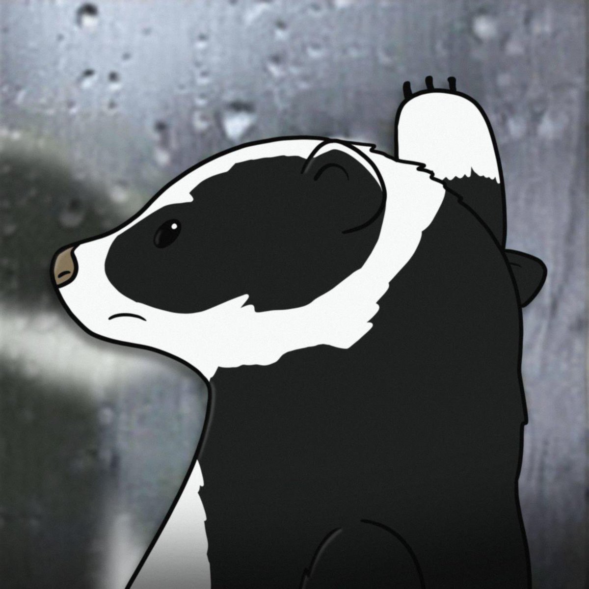 BadgerOnRH's tweet photo. @Binance_intern $Badger on RH is the only coin I remember sorry https://t.co/02mJeYSCY4