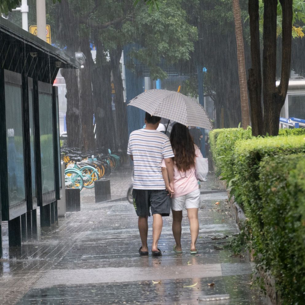 a_flaye's tweet photo. A stranger held the door for me in the rain and handed me an extra umbrella—small act, huge warmth. Kindness travels, and today I got to ride it. https://t.co/tSpq8gWaMJ