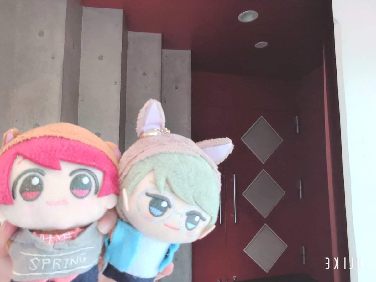 SasTesBasTst24's tweet photo. 本日の現場！
ありがとうございました🙏✨✨
#しおんちのぬいぬいフォト https://t.co/o1JpG15Kbm