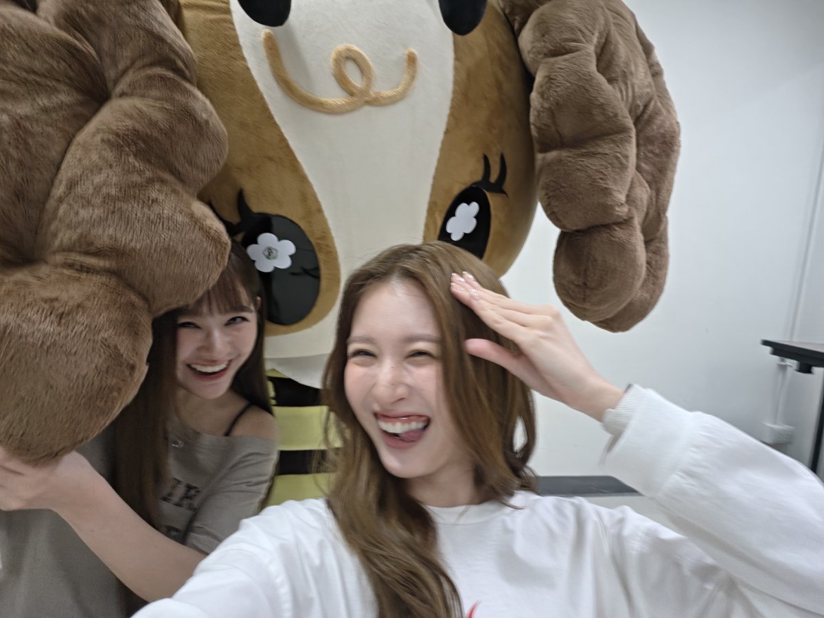 vimmy_gmmtv's tweet photo. วิมมี่กับหม่ามี้รวมใจกันแกล้งหมู่มู้ค่ะ 🐶 #หูบินแฟมิลี่ #ViewMim #Vimmy https://t.co/CAjhxOBj1B
