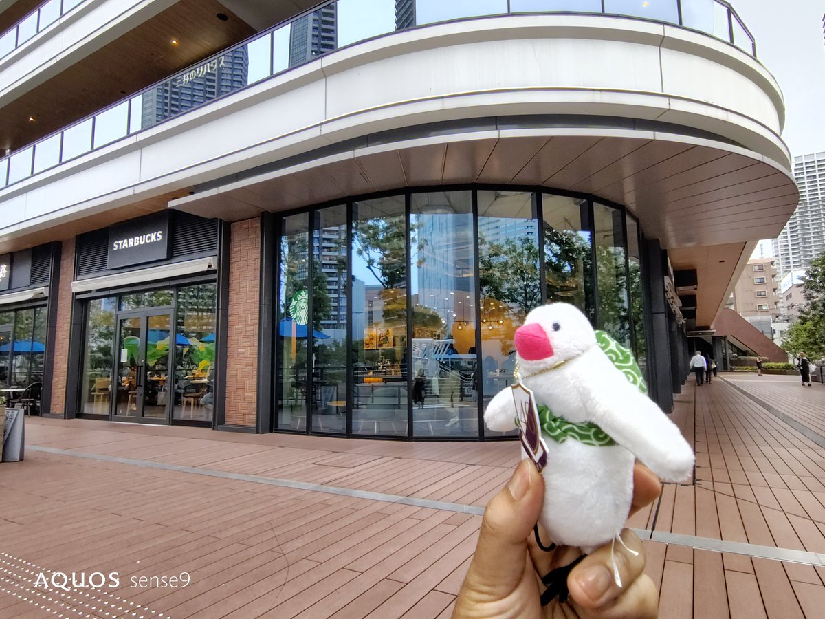 binarydecimal's tweet photo. まだまだ押し事したいですが、疲れたので勝どきのスタバで休憩です。
チョコレートテリーヌにカフェアメリカーノのアイスでうままままままいおき😊👍️

クラフト ジューシー オレンジ &amp; マンゴー ティーに、抹茶シフォンもいいですねぇ。 https://t.co/ML4RpzIKx5