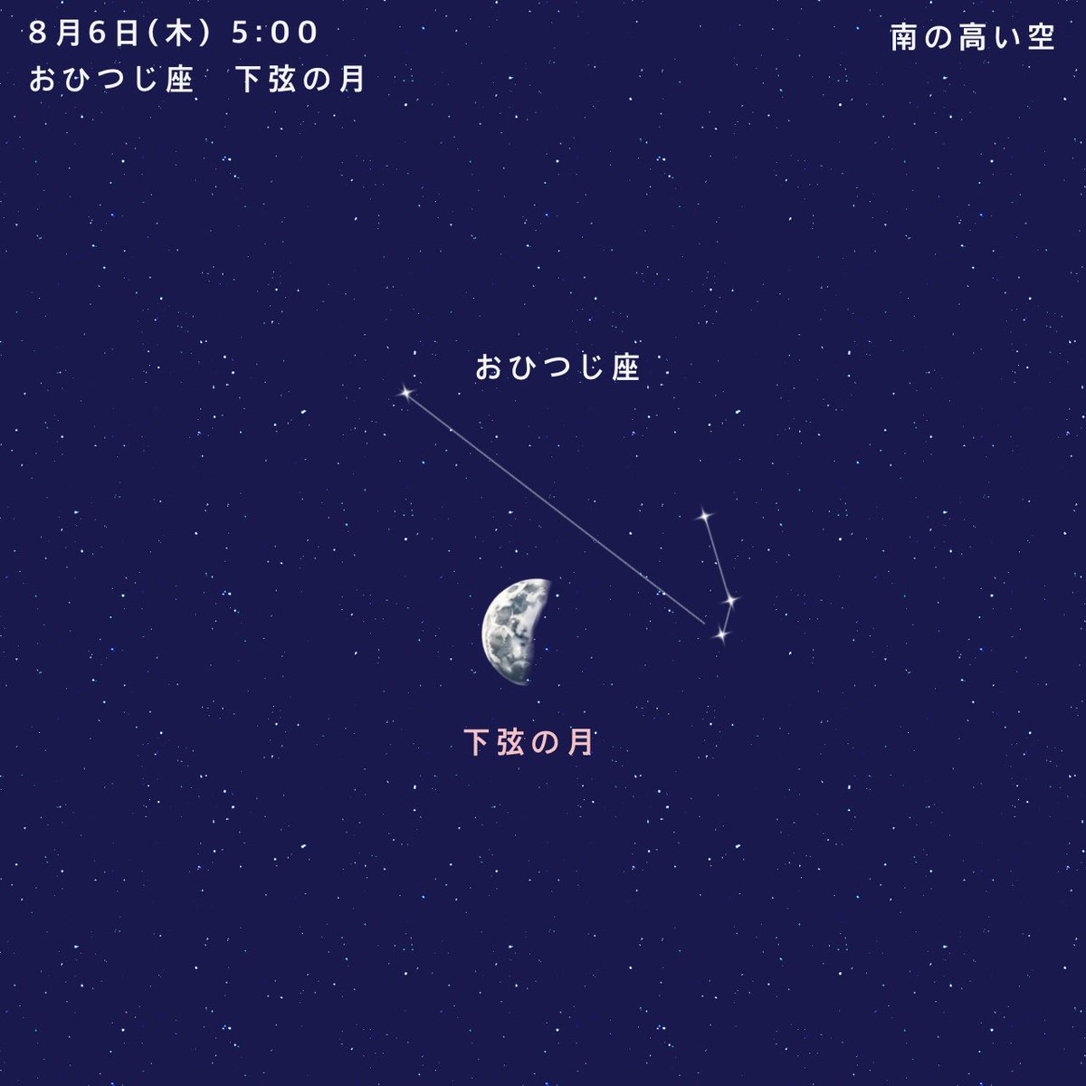 miteneko7 tweet picture