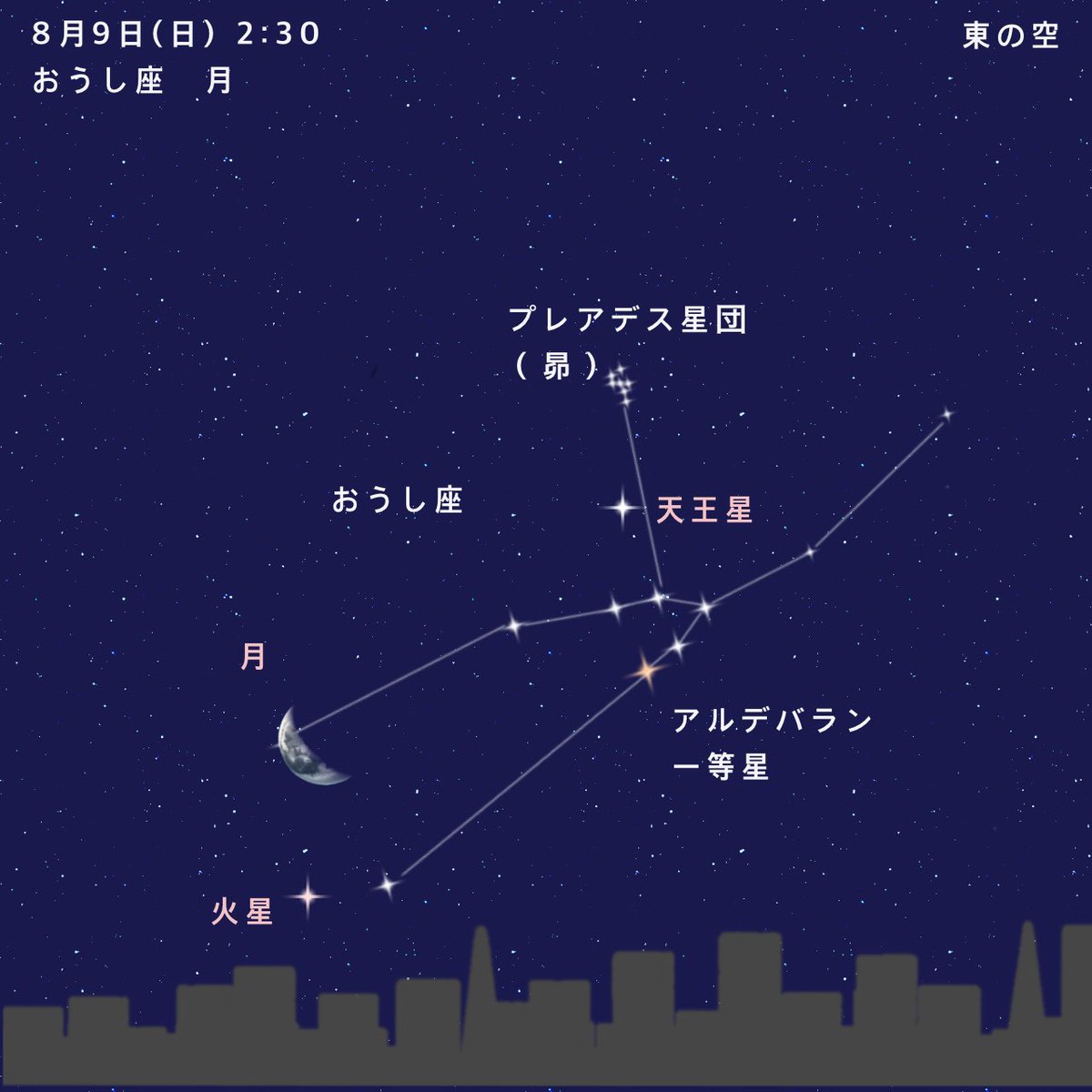 miteneko7 tweet picture