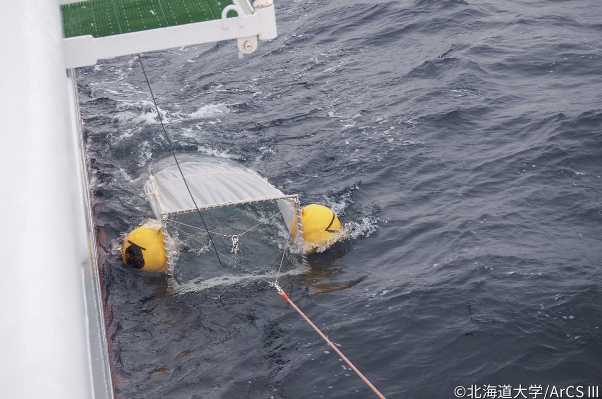 kyokuchiken's tweet photo. ▽北極からのメッセージ  #おしょろ丸北極航海2026 #ArCS3
北海道大学水産学部附属練習船「おしょろ丸」による北極航海の様子をArCS IIIのHPに掲載しています。マイクロプラスチックや動物プランクトンの採取を行う「ニューストンネット」観測の様子が届��ました。
https://t.co/pP8btCqLCE https://t.co/D79lqRvLMs