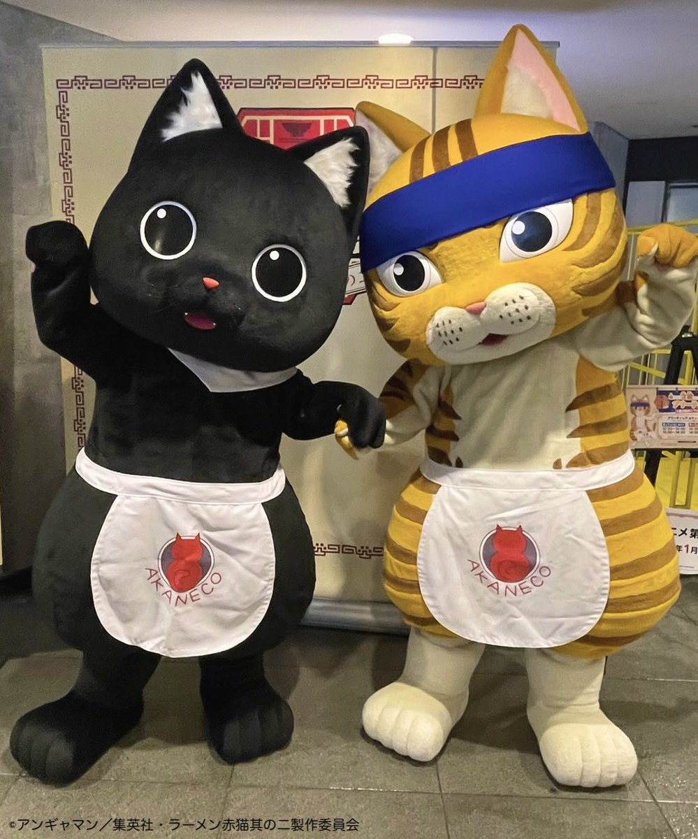 ramenakaneko's tweet photo. 🐾#ねこフェス 2日目終了
￣￣￣￣￣￣￣￣￣￣￣￣
#着ぐるみ文蔵さん ＆ #着ぐるみサブちゃん に会いに本日もたくさんのご来店ありがとうございました✨

TVアニメ『#ラーメン赤猫 其の二』を これからもよろしくお願いします‼︎🍜 https://t.co/DPOsezDmEw