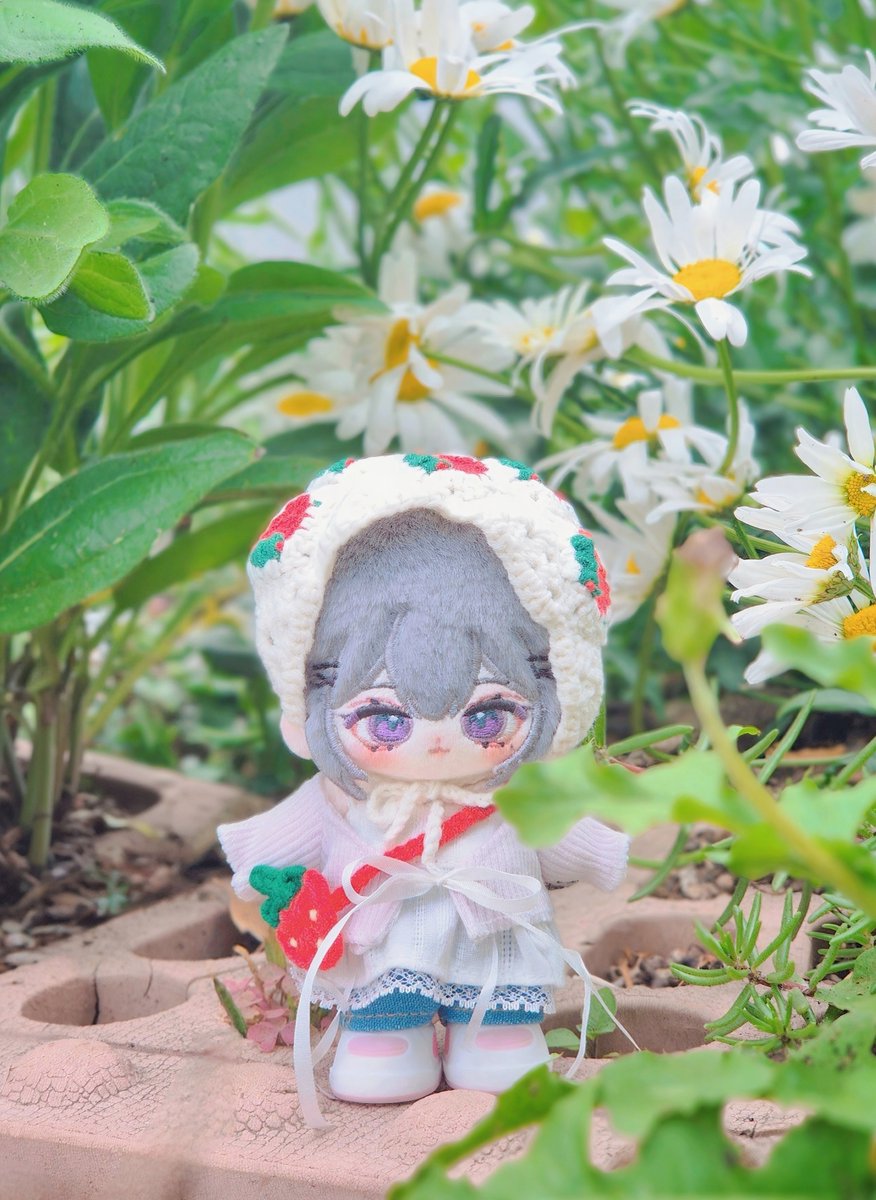 myomy5959's tweet photo. 나들이가요🌼🌼

#초록숲_솜  #마이쮸비  #쮸비 https://t.co/oTVruxb1O4