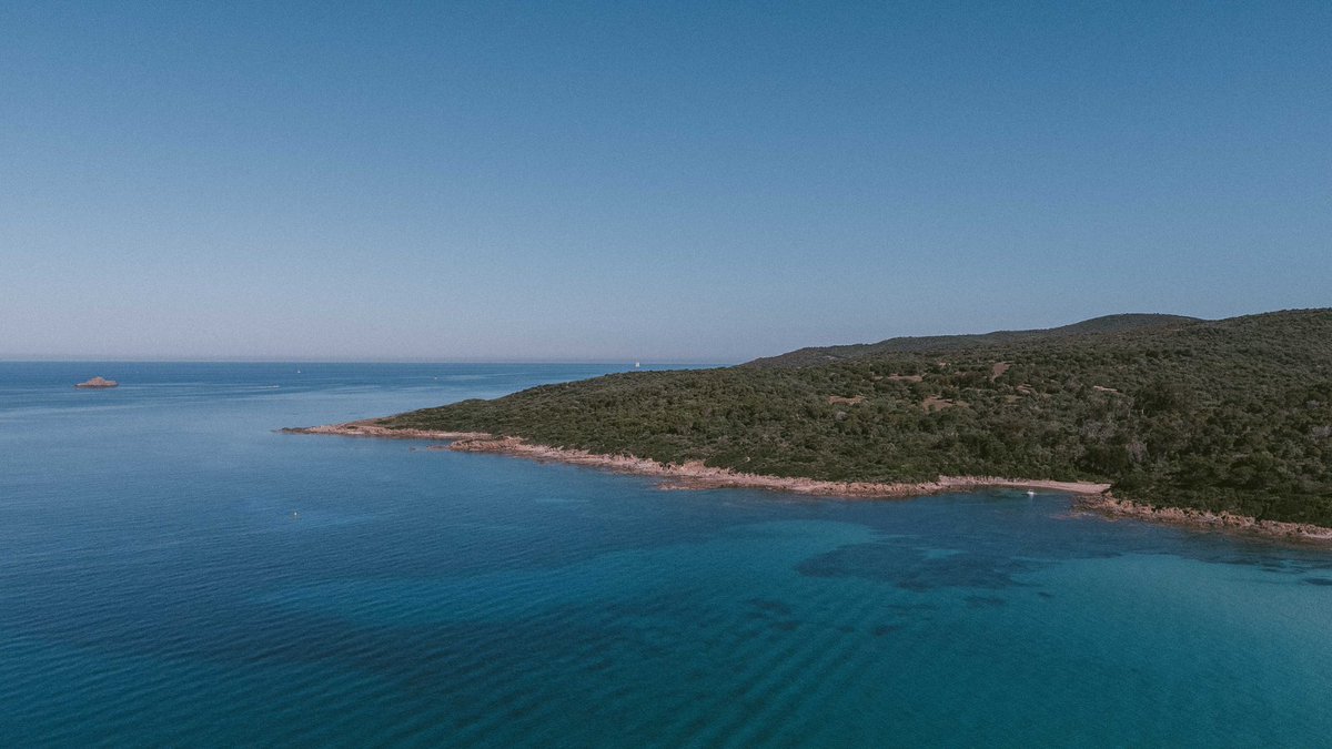 AjaccioTourisme's tweet photo. Photo du dimanche 📸
Entre maquis et mer ouverte, le Pays d’Ajaccio déroule ses paysages dans une lumière presque irréelle.
Ici, l’horizon invite naturellement à ralentir.
#PaysDAjaccio #Corse #PhotoDuDimanche #ajaccio https://t.co/cPlkygk81i
