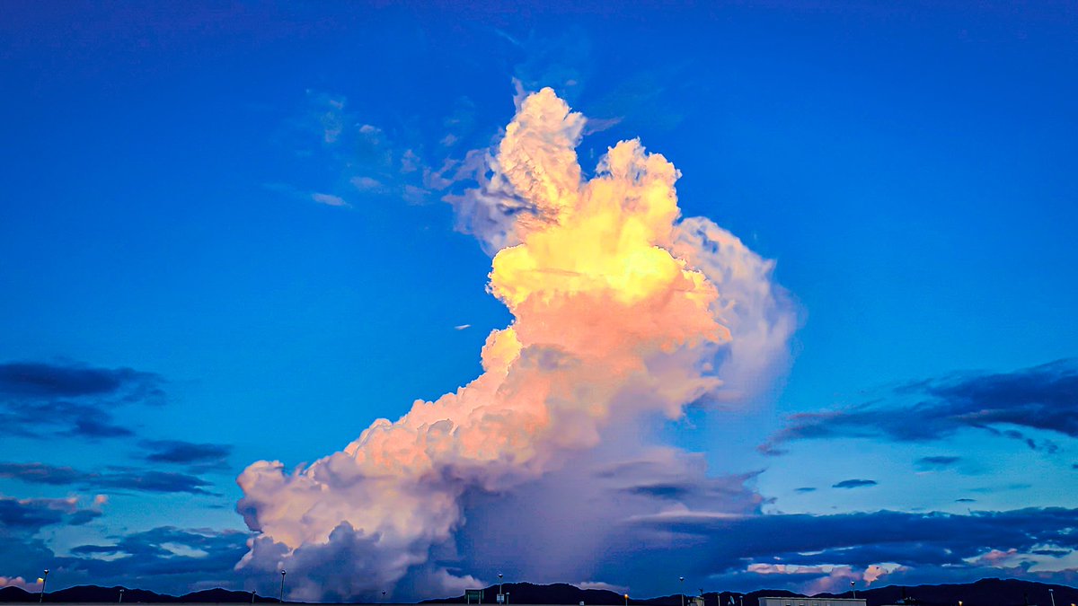 Sorani___Ao's tweet photo. 夏の怪物。 https://t.co/XhsA6s3UC4