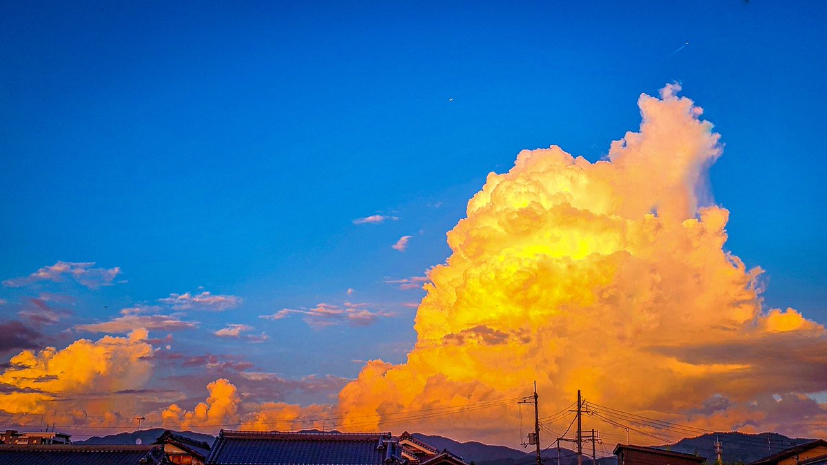Sorani___Ao's tweet photo. 夏の怪物。 https://t.co/XhsA6s3UC4