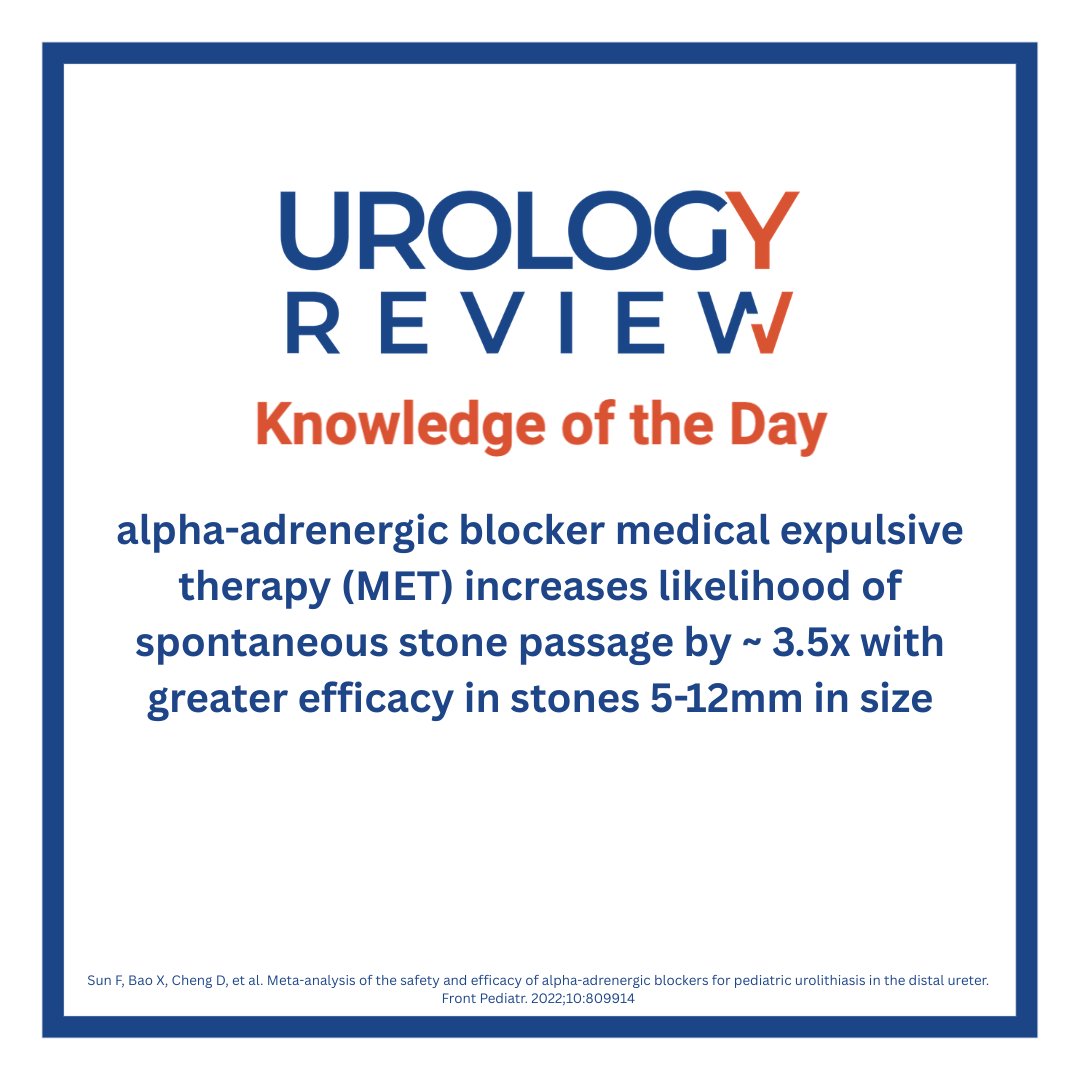 urologyrev's tweet photo. Alpha-adrenergic blocker

#urologyreview #urology #urologist #urologyresidency #surgicaleducation #medicaleducation #meded #surgery #medicalstudent #medicine #medicalschool #resident https://t.co/GRzWA6jsz0