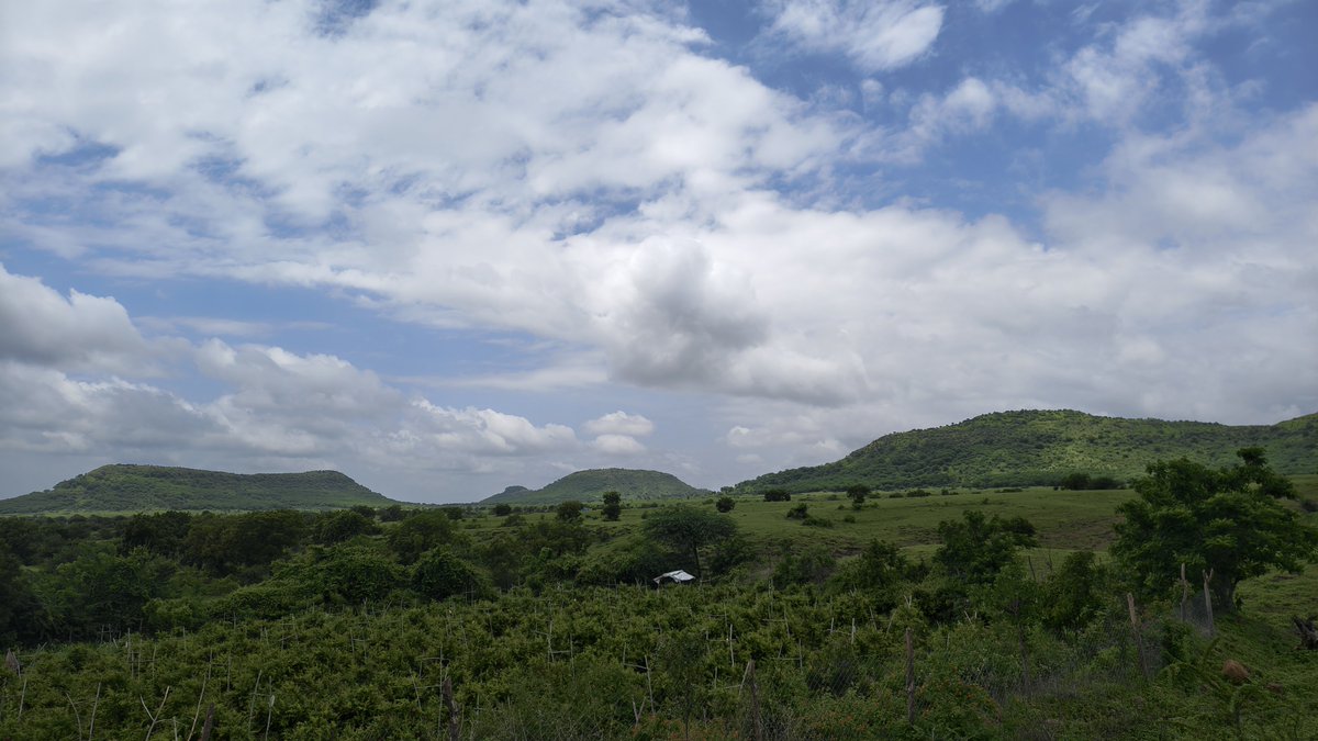mr_sp880's tweet photo. Monsoon paints every hill a little greener 🌿☁️. https://t.co/i7Tg0g7kcw