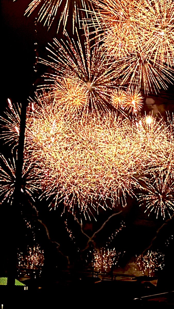 Haruchi0918's tweet photo. 昨日の花火大会🎇
携帯で撮りました

#花火 https://t.co/cS269sM7mT