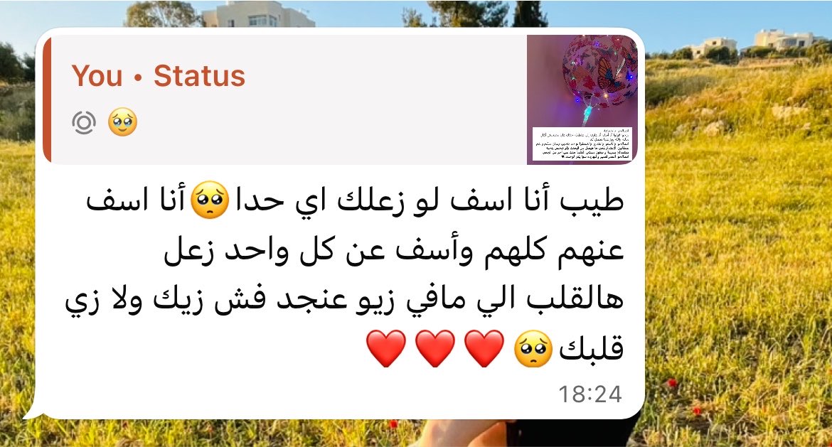 Doaa tweet media
