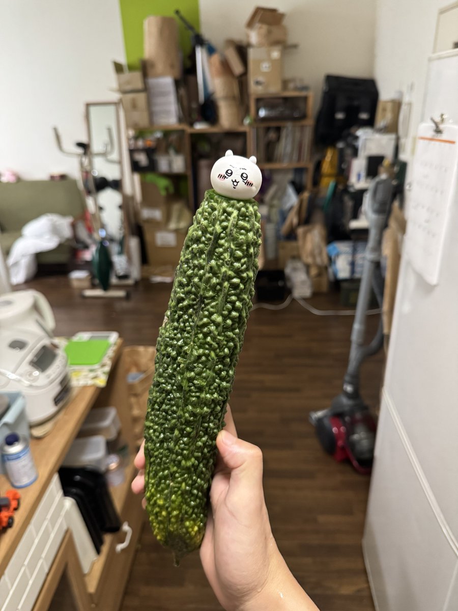 makunouchi4mark's tweet photo. ｲﾔｯ! https://t.co/6RU4HuujOA