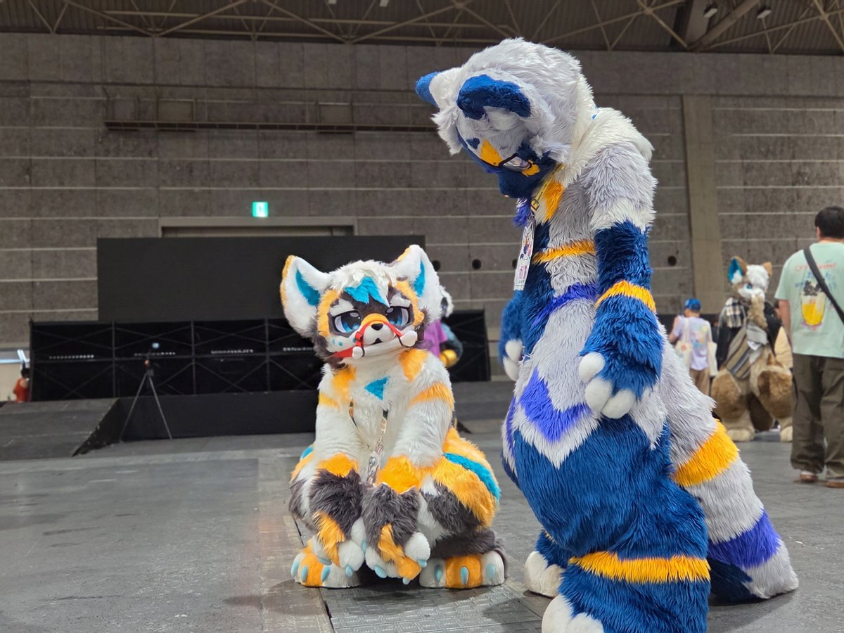 katera_kemo's tweet photo. あらららら🥰 https://t.co/rn0wfHRbds